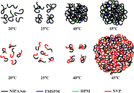 Lira sterlina ( gbp ) / euro ( eur ). Preparation And Characterization Of Thermoresponsive Poly N Isopropylacrylamide Copolymers With Enhanced Hydrophilicity