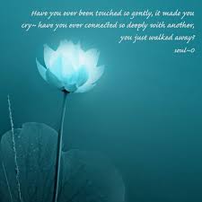 Check spelling or type a new query. Loft49 Creative Digital Design Development Camfrog Indonesia Dj Id 1 We Design We Develop We Create