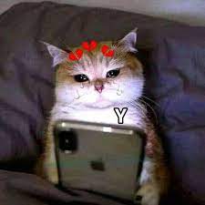 Who menyebut kondisi ini sebagai adverse event following immunization (aefi). Nih Ppcp Kucing Kali Aja Mau Xixixixi Kucing Lovers 3 Facebook