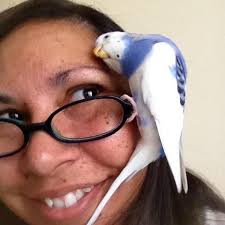 The Wingman (Alpha Men, 1): Anders, Natasha, Riedmaier, Ingeborg:  9781536619324: Amazon.com: Books