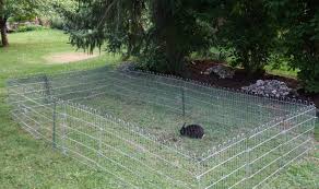 Kaninchenhaltung im garten ist die artgerechteste methode der kaninchenhaltung. Zusatzfutter Bei Freilaufhaltung Das Muss Man Unbedingt Beachten