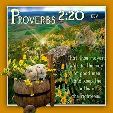 Look At The Birds Of The Air Kjv Pin On Scripture