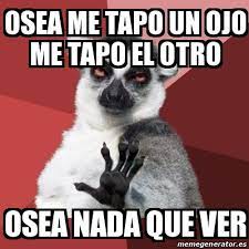 Meme Chill Out Lemur Osea Me Tapo Un Ojo Me Tapo El Otro Osea Nada Que Ver 19206637