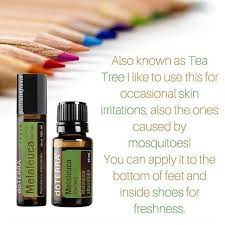 Pin On Essential Oils Aroma Therapy