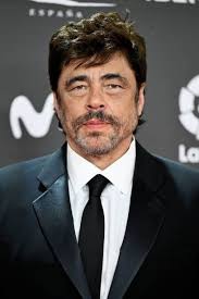 Benicio Del Toro