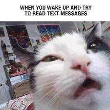When You Don T Get Those Texts Because You Have No Friends Instead It S Them Pinterest Notifications Funny Pictures Animals Funny Cute All your memes, gifs & funny pics in one place. funny pictures