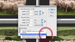 How To Resize An Image In Photoshop Without Losing Quality Shortcut How To Resize Images In Photoshop Without Losing Quality