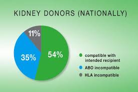 Incompatible Yet Needed What Are Incompatible Kidney