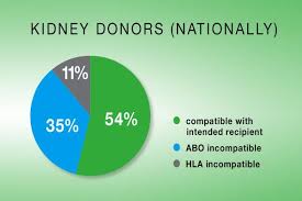 Incompatible Yet Needed What Are Incompatible Kidney