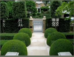 Pin On Garden Outdoor
