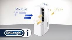 Delonghi is a leading brand that sells different types of coffee maker machines with several features and functionalities. De Longhi How To Youtube
