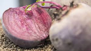 Durch die mannigfaltigkeit der positiven eigenschaften zählt der rote beete saft auch zu den nahrungsmitteln, die die leber von giftigen stoffen befreien kann. Krauter Heilen Mit Rote Bete Service Wir In Bayern Br Fernsehen Fernsehen Br De