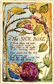 The Sick Rose By William Blake William Blake William Blake Poems Book Art
