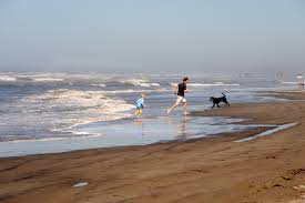View our listings & use our detailed filters to find your perfect home. Family Fun Is Everywhere On Washington S Long Beach Peninsula Visit Long Beach Peninsula