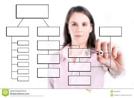 Young Business Woman Writing Process Flowchart Diagram On
