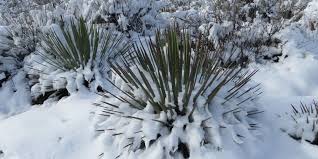 This is the last date, on average, when we might experience frost at night. Plant Hardiness Zones In Canada Explained Bc Okanagan Kelowna