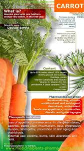 Yes, broccoli is completely safe for cats of all ages and breeds to enjoy, if they're so inclined. Can Cats Eat Carrots Broccoli And Other Vegetables Like Cauliflower And Peas Carrot Benefits Fruit Health Benefits Coconut Health Benefits