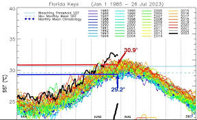 New World Record? 38.4°C Water Temperature In Florida Keys – Weather News