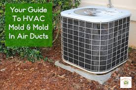 Using a cloth, brush, or sponge, soak up the solution and scrub the moldy areas of your air conditioner well. Your Guide To Hvac Mold Mold In Air Ducts Mold Help For You