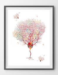 Purkinje Cells Print Brain Cells Watercolor Print Purkinje Neuroscience Art Brain Art Art