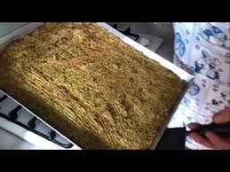 We did not find results for: Polpettone Ligure Bimby Youtube