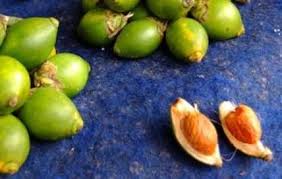 Biasanya selalu ditambahkan buah asam yang masak. Banyak Manfaat Buah Pinang Bagi Káº¹sáº¹hatan Steemit