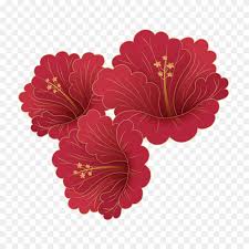 Hand Painted Delicate Magnolia Flower Png Transparent Free Png Magnolia Png Stunning Free Transparent Png Clipart Images Free Download Chinese magnolia rouwkaart star magnolia flower, png, 1280x982px. hand painted delicate magnolia flower