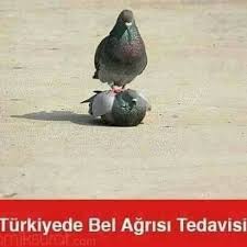 Ikinin Uc Harfli Ucun Iki Harfli Olmasi Komik Diyaloglar Facebook