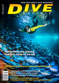 Dive Pacific Oct Nov 2018 Issue 166 By Dive Publishing Issuu Other information includes its blueprint, class name (primalitemstructure_oilpump_c) and quick information for you to use. dive pacific oct nov 2018 issue 166 by