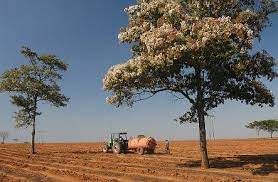 Masura 141 sprijinirea fermelor agricole de semisubzistenta. Masura 141 Finantare Ro