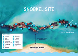 Tangalooma Wrecks | Moreton Island Near Tangalooma Resort