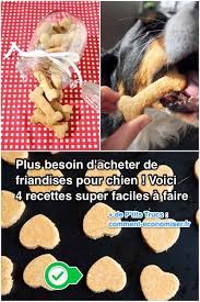 Par exemple, il y a des friandises qui soutiennent les articulations, les dents et la peau de votre animal. Plus Besoin D Acheter De Friandises Pour Chien Voici 4 Recettes Super Faciles A Faire