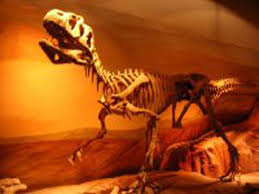Lesothosaurus is an herbivorous ornithischian dinosaur. Lesothosaurus Dinosaur Posters Dinosaur Gallery