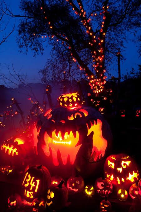 5,000 jack-o'-lanterns light up the night at Roger Williams Park Zoo