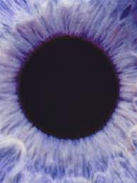 Purple Eye Tumblr Purple Eyes Eyes Purple