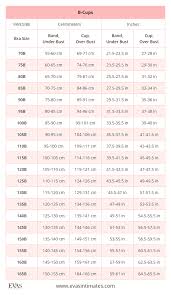 french fr spanish es and belgian be bra sizes in