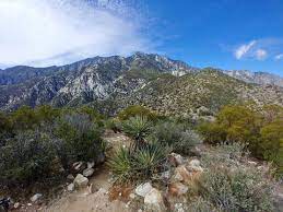 For local hikers, cactus to clouds (c2c for short) is not just a trail, it is a hiking rite of passage. Cactus To Clouds Hike Faqs Cactus To Clouds