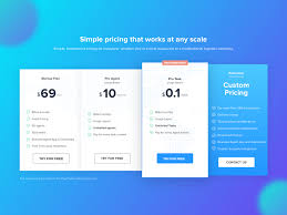 Pricing Screen For Tookan Web Design Pricing How To Plan Pricing Templates