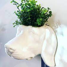 Set of 2 ceramic elephant planter, couple animal planter set, elephant figurine vintage planter, elephant decor, retro cactus planter indoor. Ceramic Wall Planter Dachshund Dog Head Sandy Toes Gifts