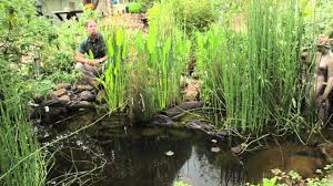 These liners have a life expectancy of 15 years. Building Ponds Talking Liners The Permaculture Research Institute