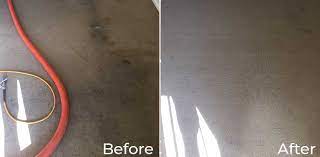 Carpet cleaning, upholstery cleaning, leather cleaning, pest control, bellmere, burpengary, caboolture, morayfield, redcliffe, deception bay, brisbane north. Bond Carpet Cleaning Brisbane North All Corners Carpet Cleaning Pest Control