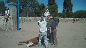 Convert time between multiple locations, check timezone time, city time, plan travel time, flight arrival time, conference calls and webinars across all time zones. Branding Day At Rancho San Cayetano In Lagos De Moreno In Jalisco Mexico Youtube