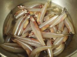 This variety of fish is one of the authentic dishes of the kerala state. Which Is The Tastiest Fish In Tamil Nadu Quora