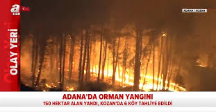 Adana'da kız öğrenci yurdunda yangın: Son Dakika Adana Kozan Da Orman Yangini 6 Koyde 800 Hane Bosaltildi Takvim