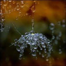 Eva Karlström (evakarlstrom)