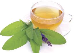 Sage (salvia officinalis) is a versatile herb used in strews, stuffing mixtures for poultry and as an accompaniment to lamb or pork. Sage Description Of The Herb Health Benefits And Harms