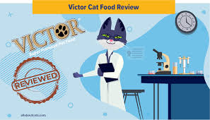 We did not find results for: Unbiased Victor Cat Food Review 2021 All About Cats