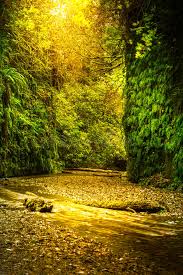 We did not find results for: Fern Canyon California Stockfoto Bild Von Kalifornien 83256874