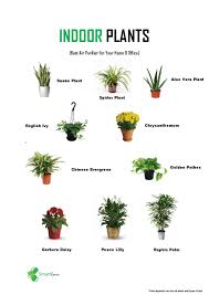 We did not find results for: Smartgrow Agro Idea Pokok Hiasan Dalam Rumah Atau Pejabat