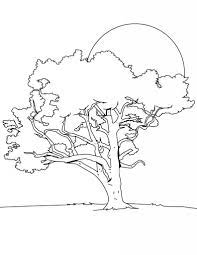 Feel free to print and color from the best 34+ tree coloring pages at getcolorings.com. Free Printable Tree Coloring Pages For Kids Nature Coloring Pages Tree Coloring Page Tree Coloring Pages